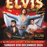 Elvis Poster – 2024